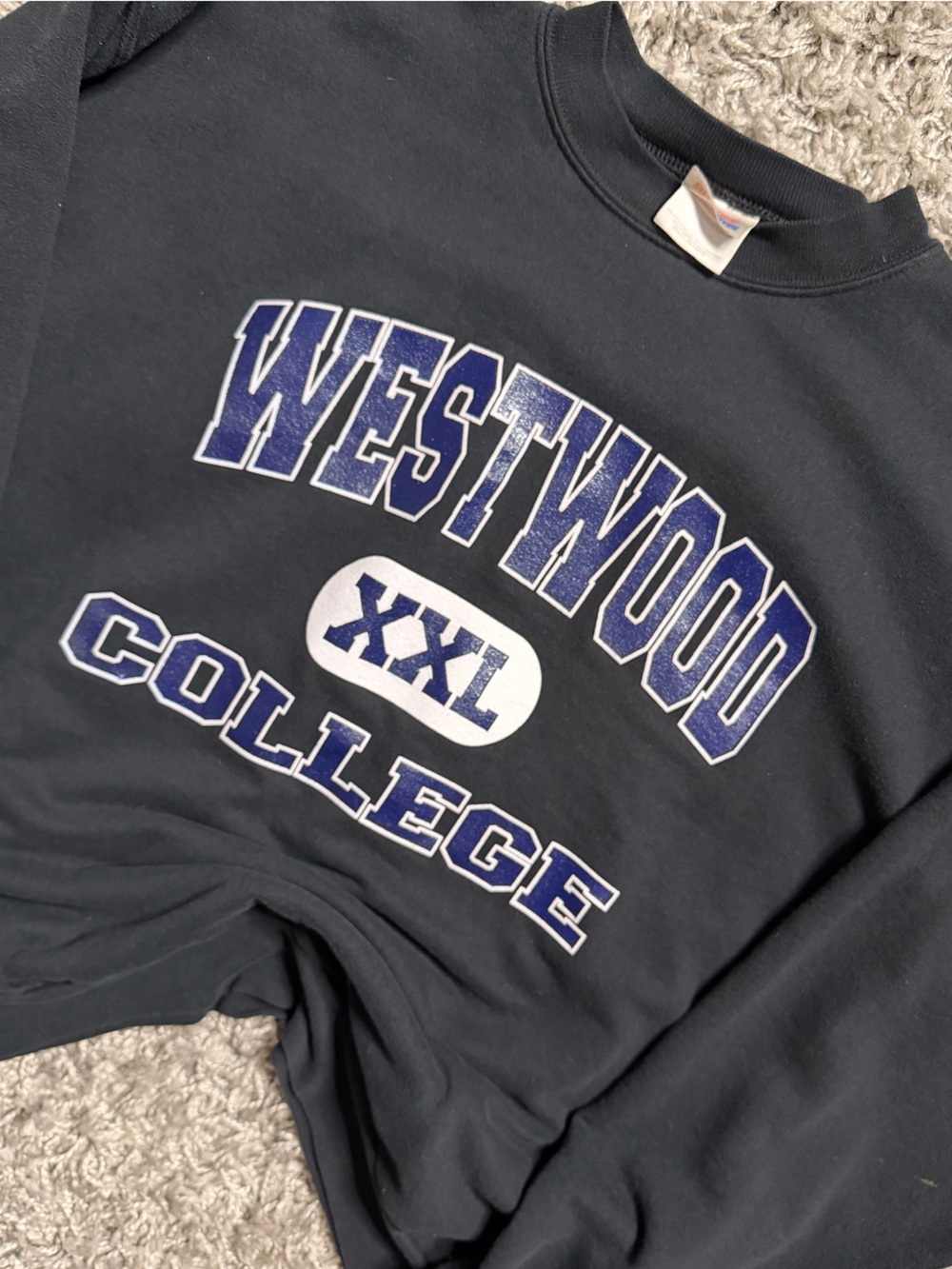 2000s Westwood College Crewneck